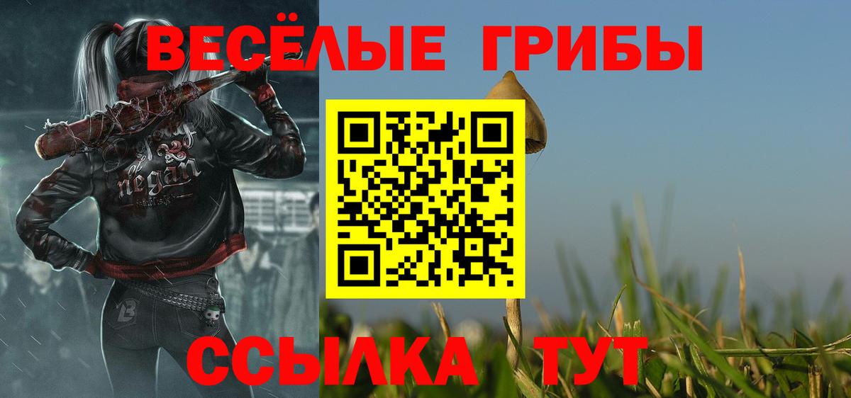 Ипатово  Псилоцибиновые грибы Cubensis  Вход с VPN 
